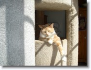 P9190439 * 2048 x 1536 * (1.38MB)