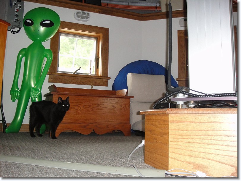 Click for the original image
