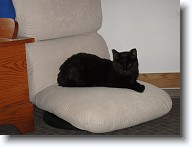 DSC02431 * 2048 x 1536 * (1.24MB)