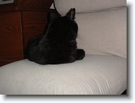 DSC02436 * 2048 x 1536 * (1.28MB)