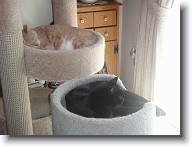 DSC02567 * 2048 x 1536 * (1.43MB)