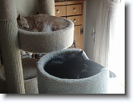 DSC02568 * 2048 x 1536 * (1.34MB)