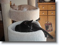 DSC02569 * 2048 x 1536 * (1.4MB)