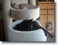 DSC02570 * 2048 x 1536 * (1.39MB)