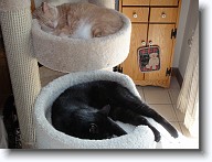 DSC02571 * 2048 x 1536 * (1.4MB)