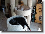 DSC02573 * 2048 x 1536 * (1.4MB)