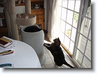 DSC02574 * 2048 x 1536 * (1.37MB)