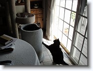 DSC02575 * 2048 x 1536 * (1.34MB)