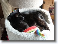 DSC02595 * 2048 x 1536 * (1.41MB)