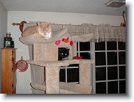 DSC02839 * 2048 x 1536 * (1.41MB)