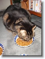 DSC02878 * 2048 x 1536 * (1.37MB)