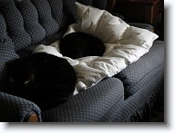DSC02924 * 2048 x 1536 * (1.3MB)