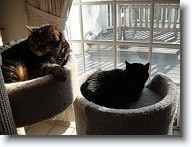 DSC02934 * 2048 x 1536 * (1.42MB)