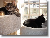 DSC02935 * 2048 x 1536 * (1.41MB)