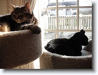 DSC02936 * 2048 x 1536 * (1.35MB)