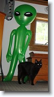 KeplerWithElroy * 685 x 1282 * (398KB)
