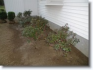 PA030004 * 1280 x 960 * (268KB)