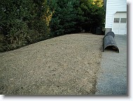 PA040009 * 1280 x 960 * (287KB)