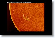 Sun_20170223_110628_C * 9000 x 6000 * (23.29MB)