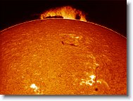 10_Sun_20150917_100123_PC * 1267 x 956 * (297KB)