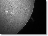 16_Sun_20160306_104026 * 1251 x 927 * (576KB)