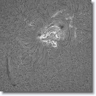 Crop1_20150821_103836_10_05_250 * 600 x 600 * (199KB)