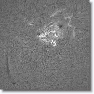 Crop1_20150821_103836_30_30_250 * 599 x 599 * (210KB)