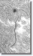 Crop2_20150917_101409_005 * 200 x 350 * (75KB)