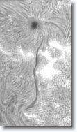 Crop2_20150917_101409_200 * 200 x 350 * (54KB)