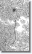 Crop2_20150917_101409_250 * 201 x 350 * (60KB)