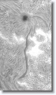 Crop2_20150917_101409_500 * 200 x 349 * (56KB)