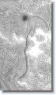 Crop2_20150917_101409_750 * 200 x 350 * (47KB)
