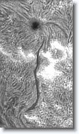 Crop3_20150917_101409_025 * 200 x 349 * (71KB)