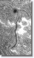 Crop3_20150917_101409_075 * 200 x 350 * (65KB)