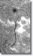 Crop3_20150917_101409_250 * 201 x 350 * (61KB)