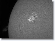 25_Sun_20150821_103836 * 1274 x 950 * (466KB)