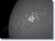26_Sun_20150821_103836 * 1274 x 950 * (504KB)