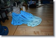 20250809_112731 * And a 3D printed shoe. * 4496 x 3000 * (5.24MB)
